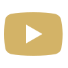 icons8-youtube-100.png